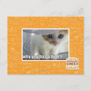 Warum hast du ein Versteck? Postkarte