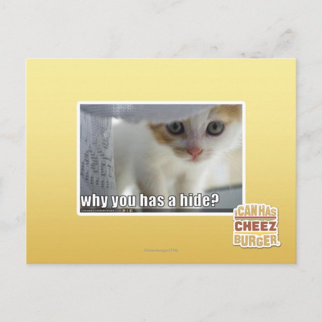 Warum hast du ein Versteck? Postkarte (Vorderseite)