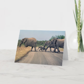 Warum hat der Elefant die Straße überquert? (1) Karte