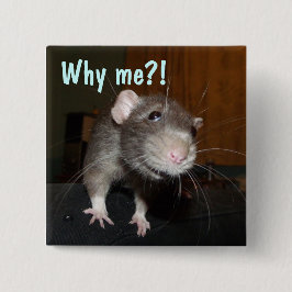 Warum ich? Ratte Abzeichen Button
