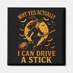 Warum ja, ich kann tatsächlich ein Stick Funny Hal Magnet