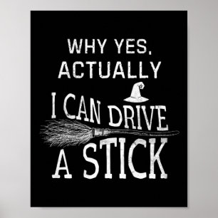 Warum ja, ich kann tatsächlich ein Stick Funny Hal Poster