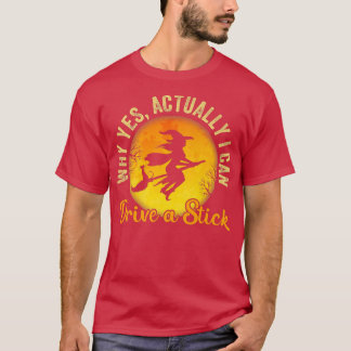 Warum ja, ich kann tatsächlich ein Stick Funny Hal T-Shirt