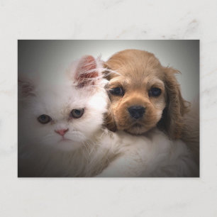 Warum können wir nicht Freunde Postkarte sein?