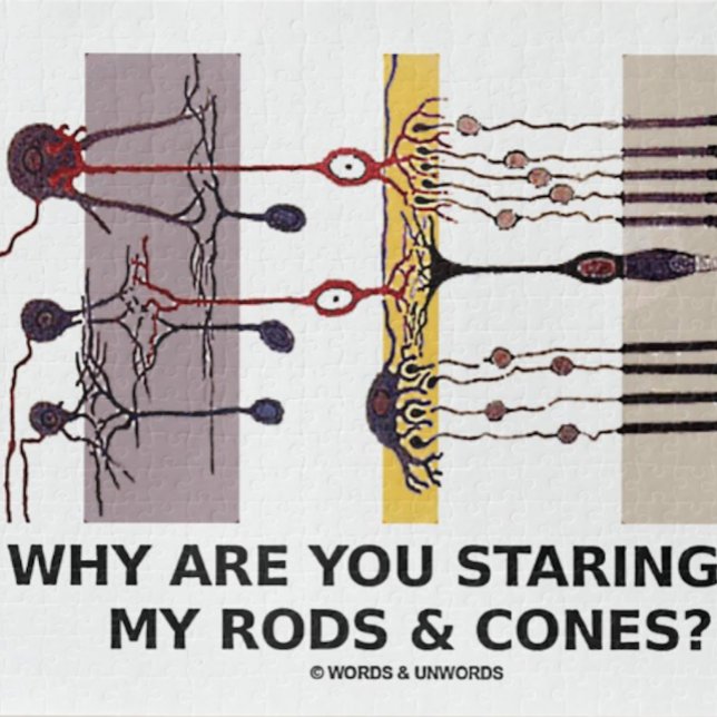 Warum starrst du an meinen Rods & Cones? (Jigsaw puzzle for anyone into anatomical attitude at the eye level)