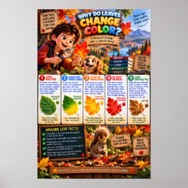 Warum verändern Blätter ihre Farbe Infografik Poster