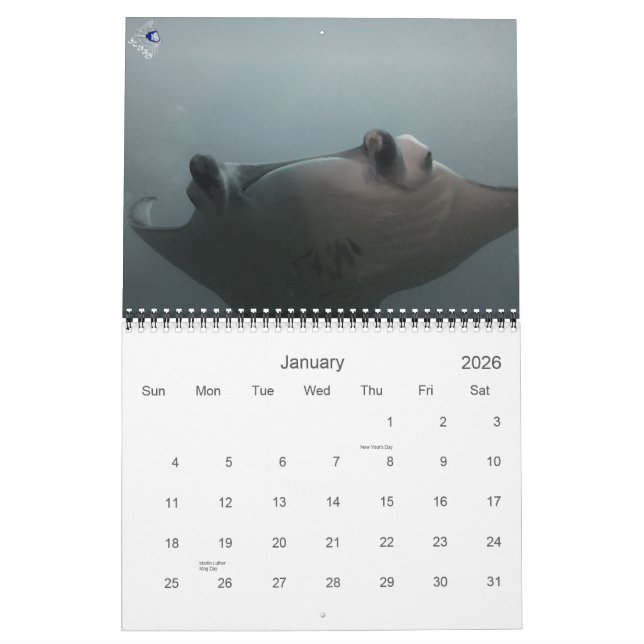 Warum wir tauchen kalender (Jan 2026)