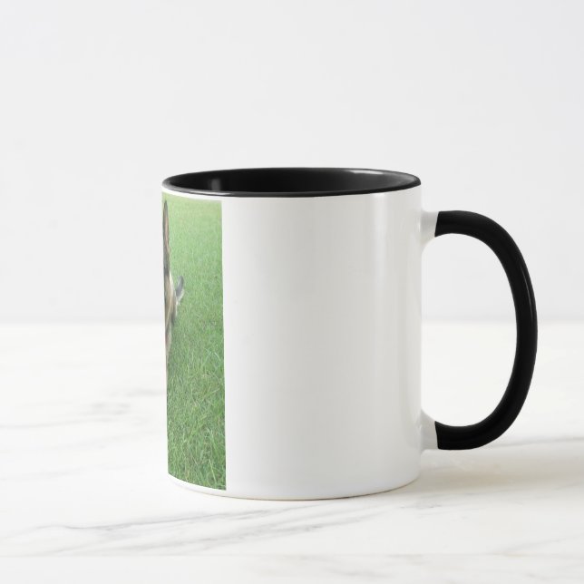 Warwick Tasse (Rechts)