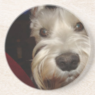 Was betrachten SIE? Getränkeuntersetzer