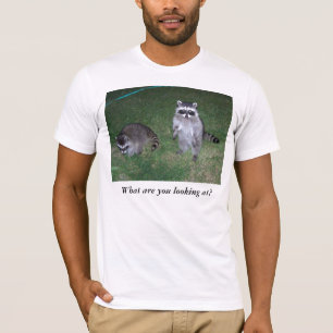 Was betrachten Sie?  Raccoon-T - Shirt