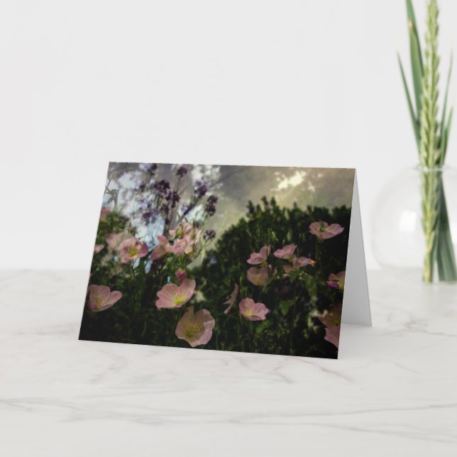 Was blüht in der Schattenkarte? Karte (Vorderseite)