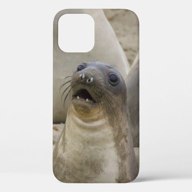 WAS? Case-Mate iPhone HÜLLE (Rückseite)