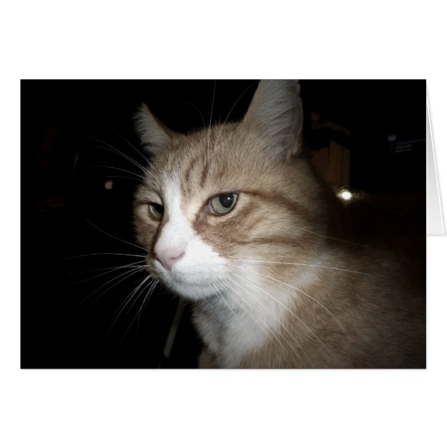 Was denkt er? (Vorderseite (Horizontal))