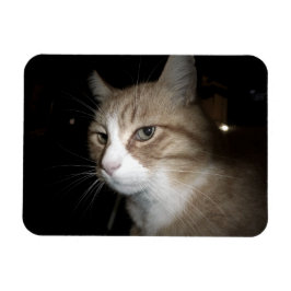 Was denkt er? magnet