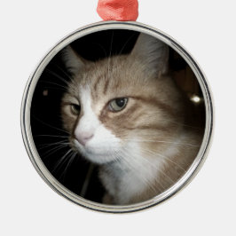 Was denkt er? silbernes ornament