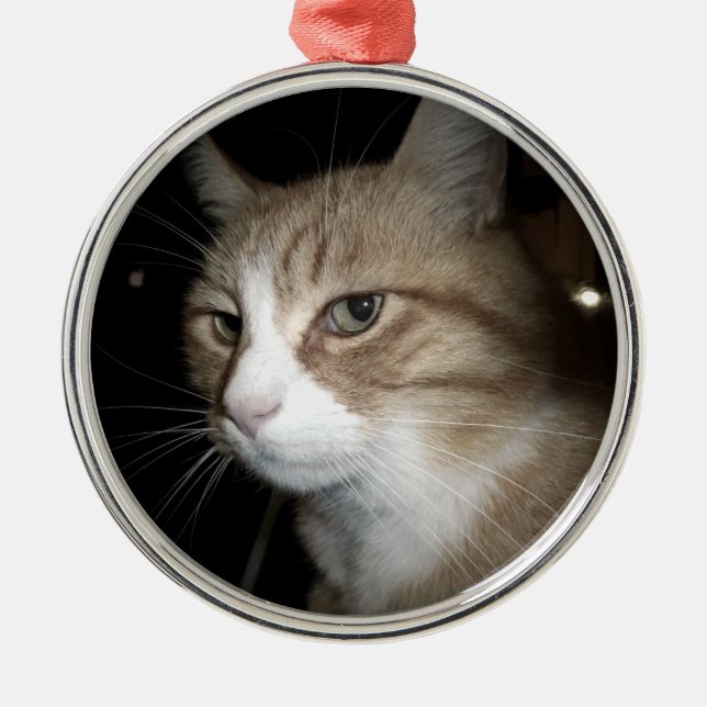 Was denkt er? silbernes ornament (Vorne)