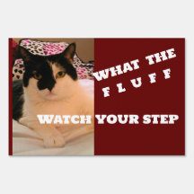 Was der Fluff ist, beobachten Sie das Schild Ihres