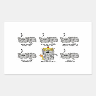 Was die Katze für lustig hält Rechteckiger Aufkleber