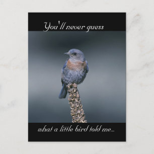 Was ein kleiner Vogel mir erzählt hat Postkarte