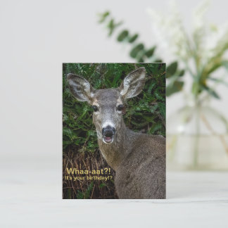 Was? Es ist dein Geburtstag! Postkarte
