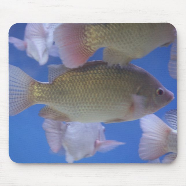 Was für Abendessen? Mousepad (Vorne)
