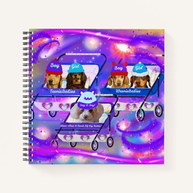 Was für ein Buch großer Babys-Notebooks (Vorderseite)