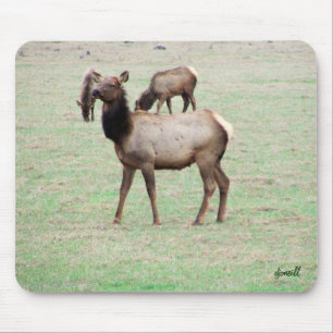Was für ein Elch siehst du an? Mousepad