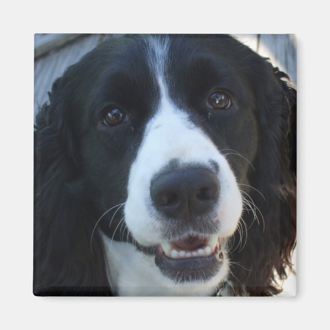 Was für ein Gesicht Magnet (Vorne)