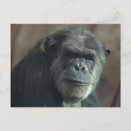 Was für ein Gesicht? Postkarte