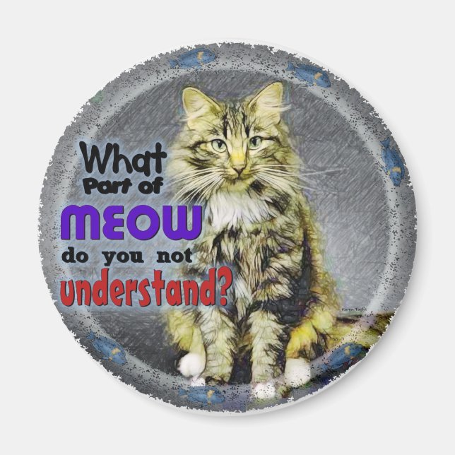 Was für ein Teil von Meow Magnet (Vorne)