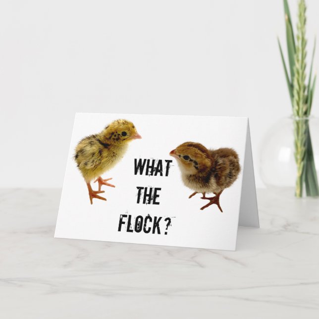 Was für eine Flock, Baby Quail Chick? Karte (Vorderseite)