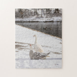 Was für eine Gans