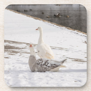 Was für eine Gans Getränkeuntersetzer