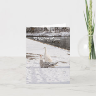 Was für eine Gans Karte