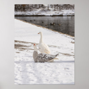 Was für eine Gans Poster