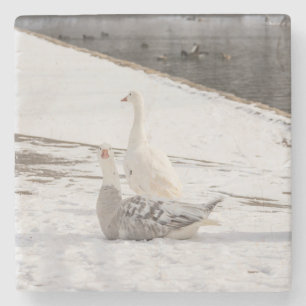 Was für eine Gans Steinuntersetzer