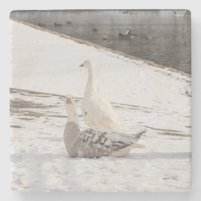 Was für eine Gans Steinuntersetzer (Vorderseite)