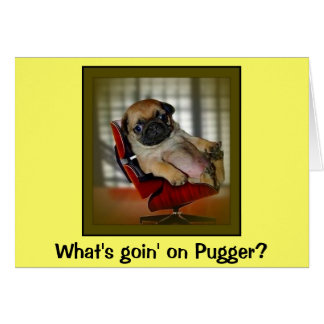 Was geht auf Pugger?