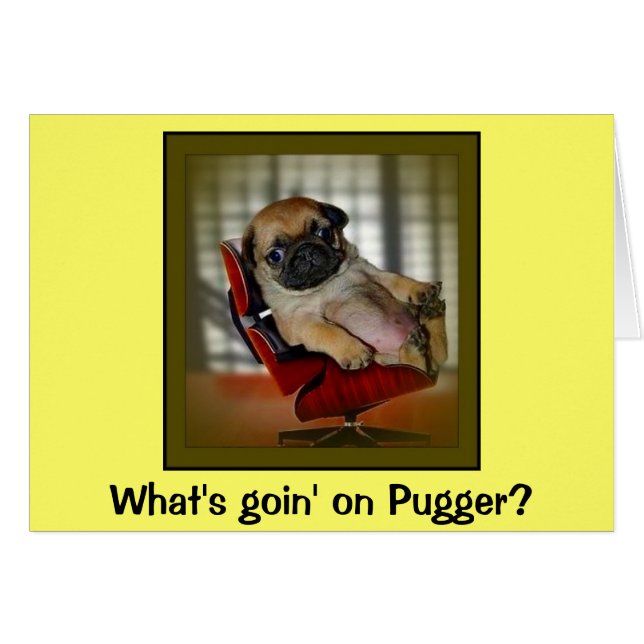 Was geht auf Pugger? (Vorderseite (Horizontal))
