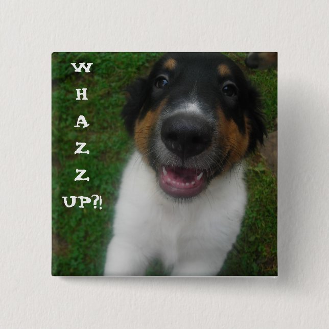 WAS? Hund. Button (Vorderseite)