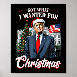 Was ich zu Weihnachten Gewollt habe, Trump 2024 Poster