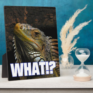 Was? Iguana Fotoplatte