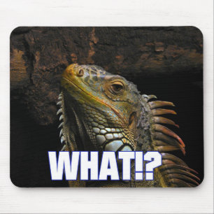 Was? Iguana Mousepad