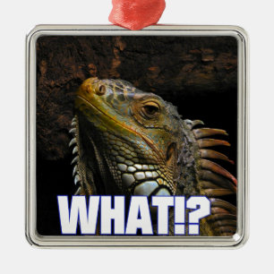Was? Iguana Silbernes Ornament
