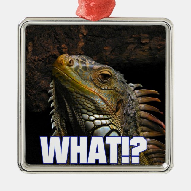 Was? Iguana Silbernes Ornament (Vorne)