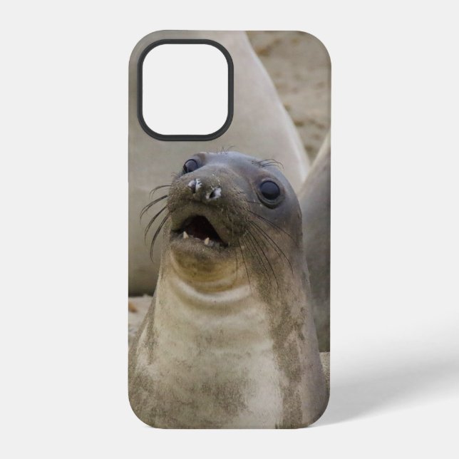 WAS??? iPhone 12 PRO HÜLLE (Rückseite)
