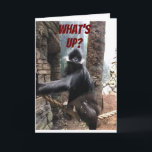 WAS IST AM BESTEN FÜR DEIN ALTER? ** 70.** BIRTHTA KARTE<br><div class="desc">AUF IHNEN AM ****70. BIRTHTAG***** EIN TEASE AUS DIESER GORILLA,  DIE WILL,  ZU WISSEN ***WAS IST AM BESTEN FÜR IHR ALTER?****</div>