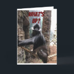 WAS IST AM BESTEN FÜR DEIN ALTER? ** 70.** BIRTHTA KARTE<br><div class="desc">AUF IHNEN AM ****70. BIRTHTAG***** EIN TEASE AUS DIESER GORILLA,  DIE WILL,  ZU WISSEN ***WAS IST AM BESTEN FÜR IHR ALTER?****</div>