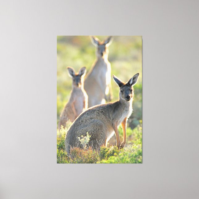 WAS IST AUF! 40 x 60 Leinwanddruck (Vorderseite)