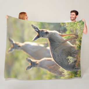 WAS IST AUF! KANGAROOS FLEECEDECKE